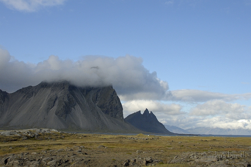 _DSC0843.jpg