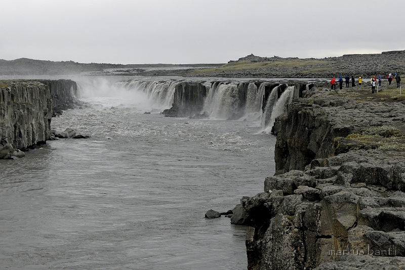 _DSC1027.jpg