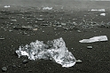 _DSC0808