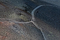 _DSC5487